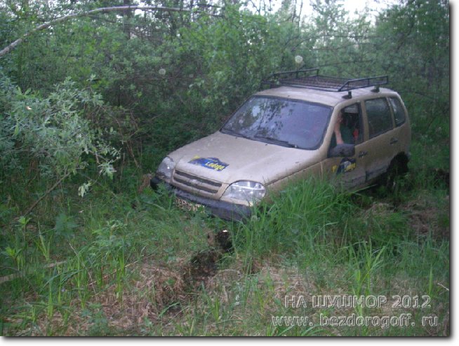 упал в нору к бобрам