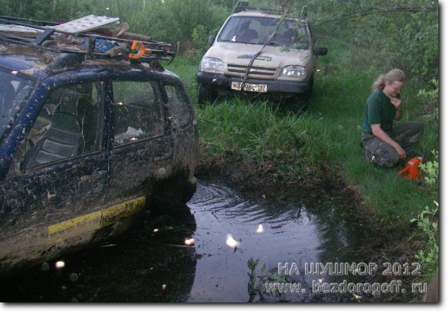 промоина