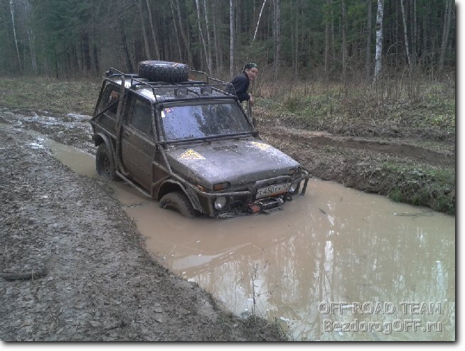 купание зелёного коня