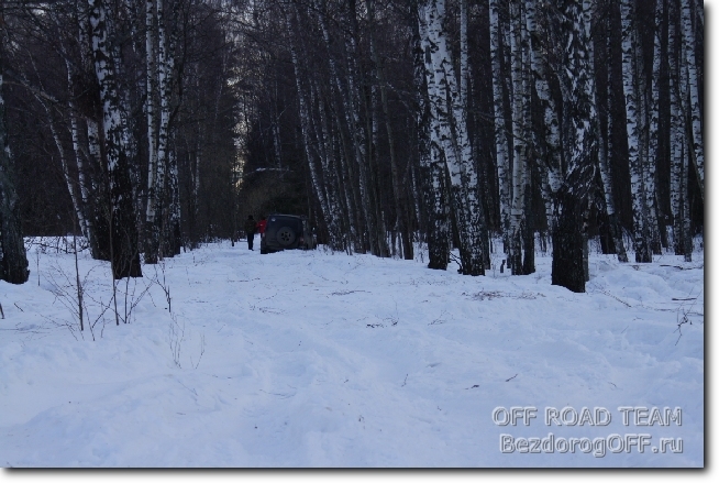 Просека в никуда